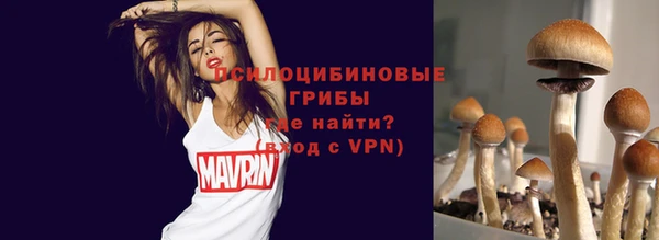 МДПВ Абдулино