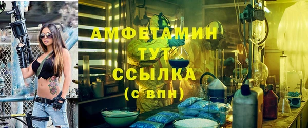 хмурый Абаза