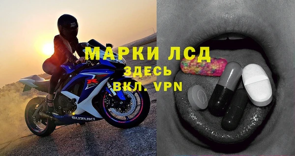 хмурый Абаза