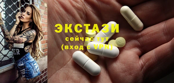 хмурый Абаза
