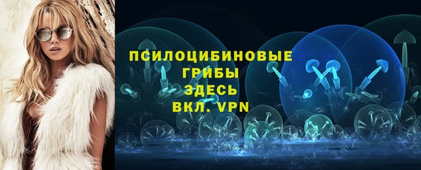 МДПВ Абдулино